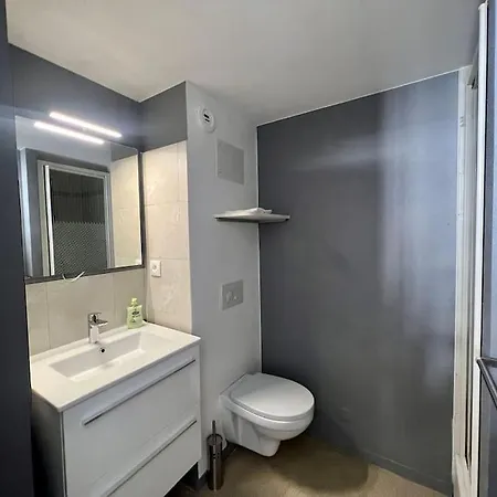 Apartment Le Rivage Du Clain - Appart' De Standing 10 Pers. Poitiers